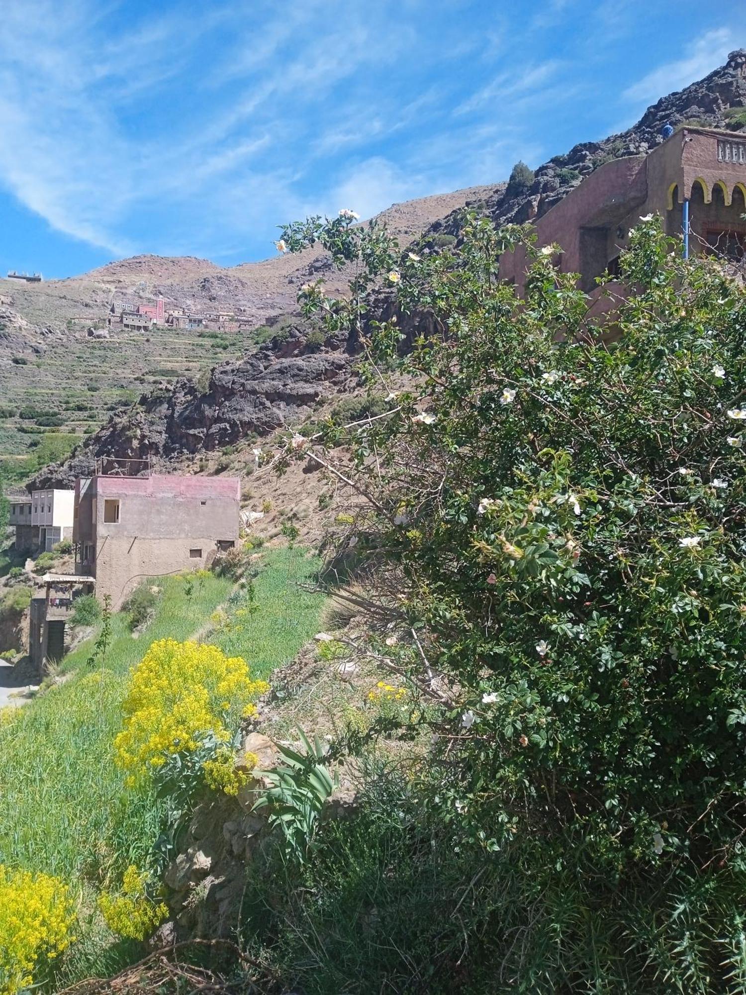 Riad Atlas Imnane Imlil  Dış mekan fotoğraf